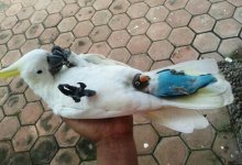 Feather Bed.jpg
