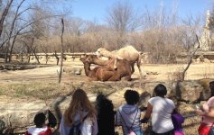 What Day is it.jpg
