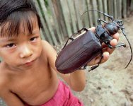 Don't Bug Me.jpg