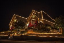 White-Lights-and-Red-Christmas-Tree-Lights.jpg White-Lights-and-Red-Christmas-Tree-Lights.jpg