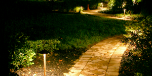 landscape lighting in Owings Mills MD.png