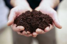 soil-129288276-59148fdc5f9b586470d8aa49.jpg
