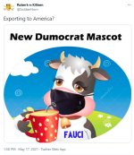 NewDumocratMascot-soldierhorn_mask.jpg