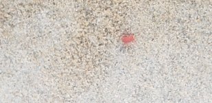 20230430_075117.jpg