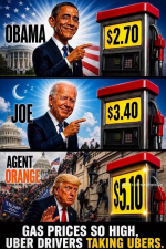 1787266227093.png