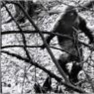 Bigfoot