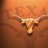 TEXAS GUY