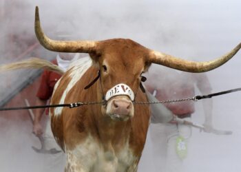 Staff Predictions: #11 Texas Longhorns vs. Rice Owls