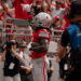 Everything you need to know about the Ohio State Buckeyes
