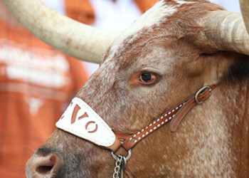 Weekend plans, Chapter 3