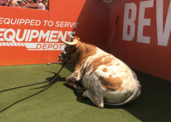 Longhorns Open as 27.5 Point Favorites Over San Jose State