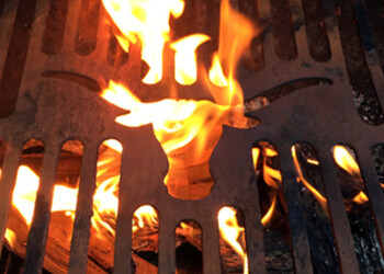 Burnt Ends: Junior Day Edition