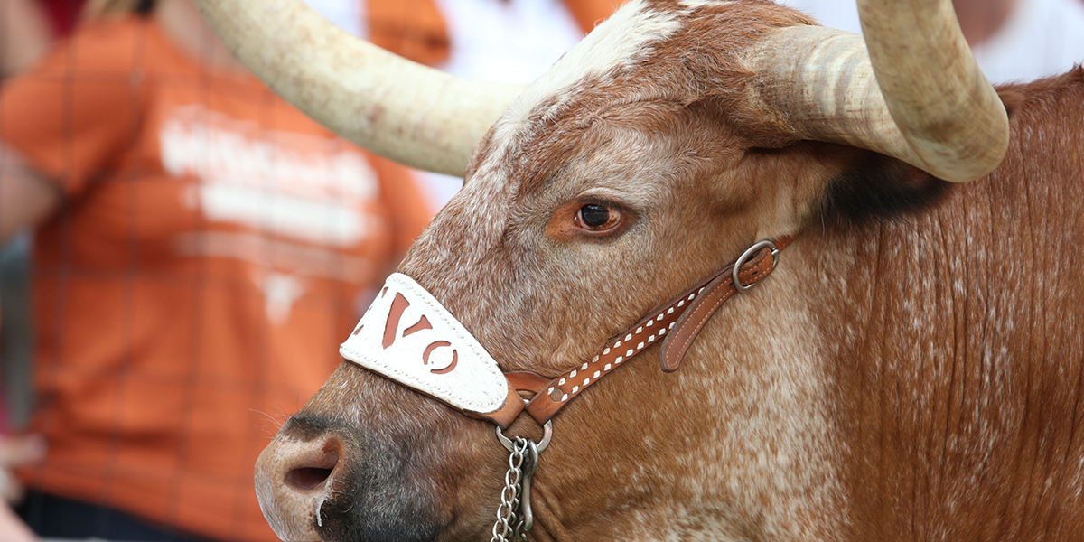 Game Day: Tulsa at Texas