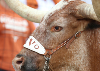 Game Day: #14 Texas Longhorns vs. Kansas Jayhawks